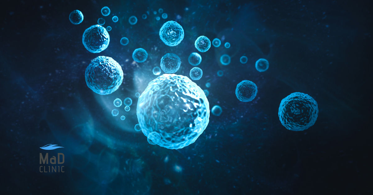 Komórki-macierzyste